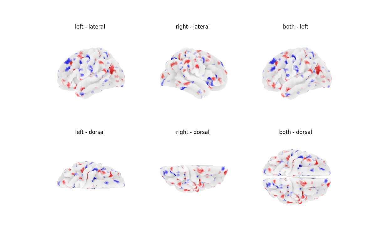 left - lateral, right - lateral, both - left, left - dorsal, right - dorsal, both - dorsal