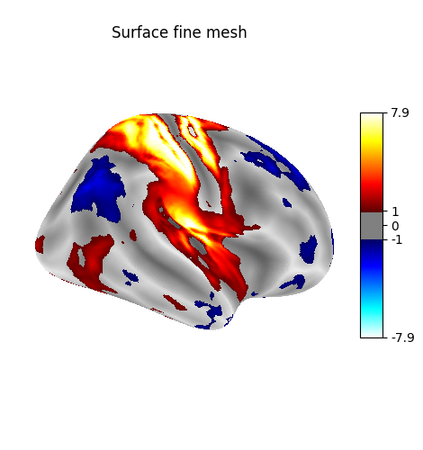 Surface fine mesh