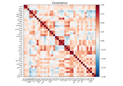 Computing a connectome with sparse inverse covariance