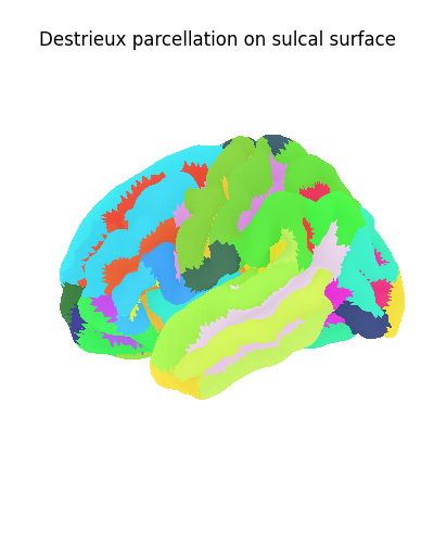 Destrieux parcellation on sulcal surface