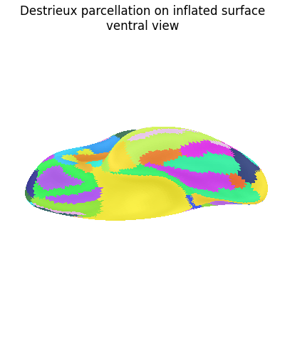 Destrieux parcellation on inflated surface ventral view