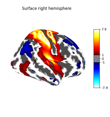 Surface right hemisphere