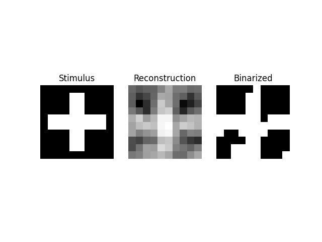Stimulus, Reconstruction, Binarized