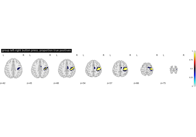 Second-level fMRI model: true positive proportion in clusters